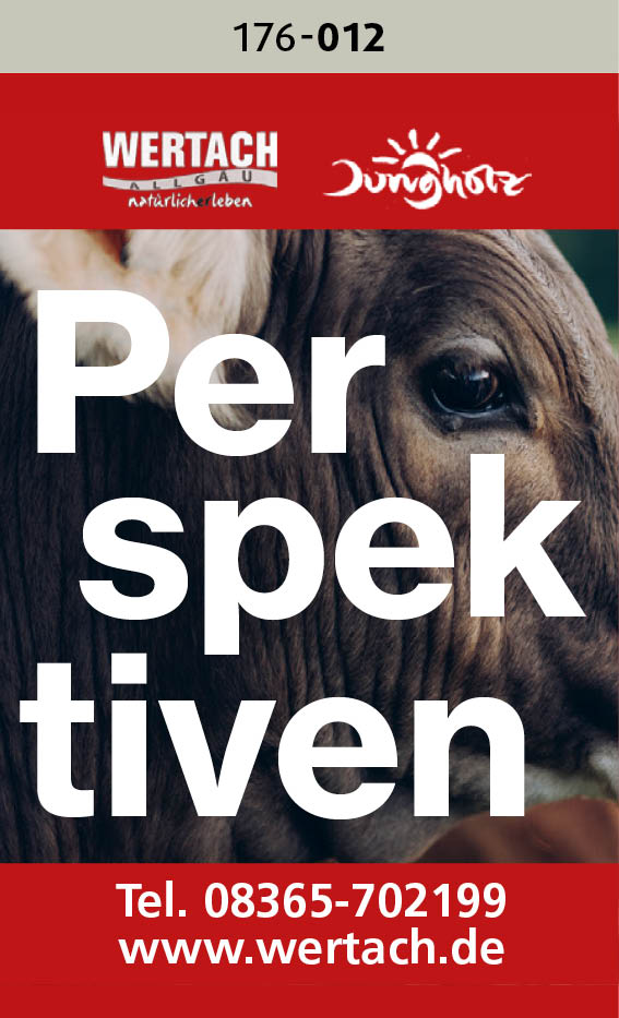 Wertach – Perspektiven